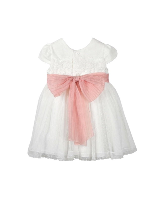 Baby Dress in Plumeti Tulle with Embroidered Bib